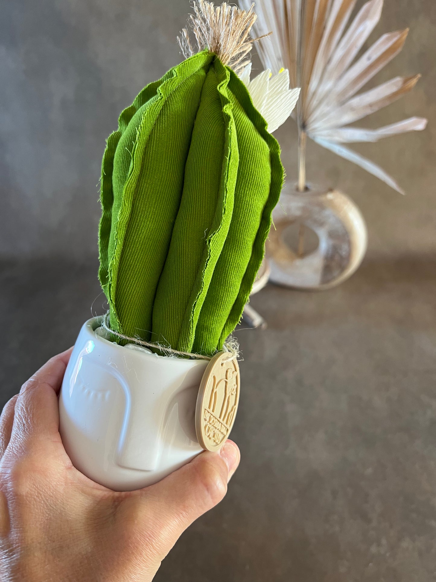 Mini Cactus in velluto millerighe verde acido, vaso in ceramica bianco liscio con volto -  h circa  22  cm - fiore staccabile.