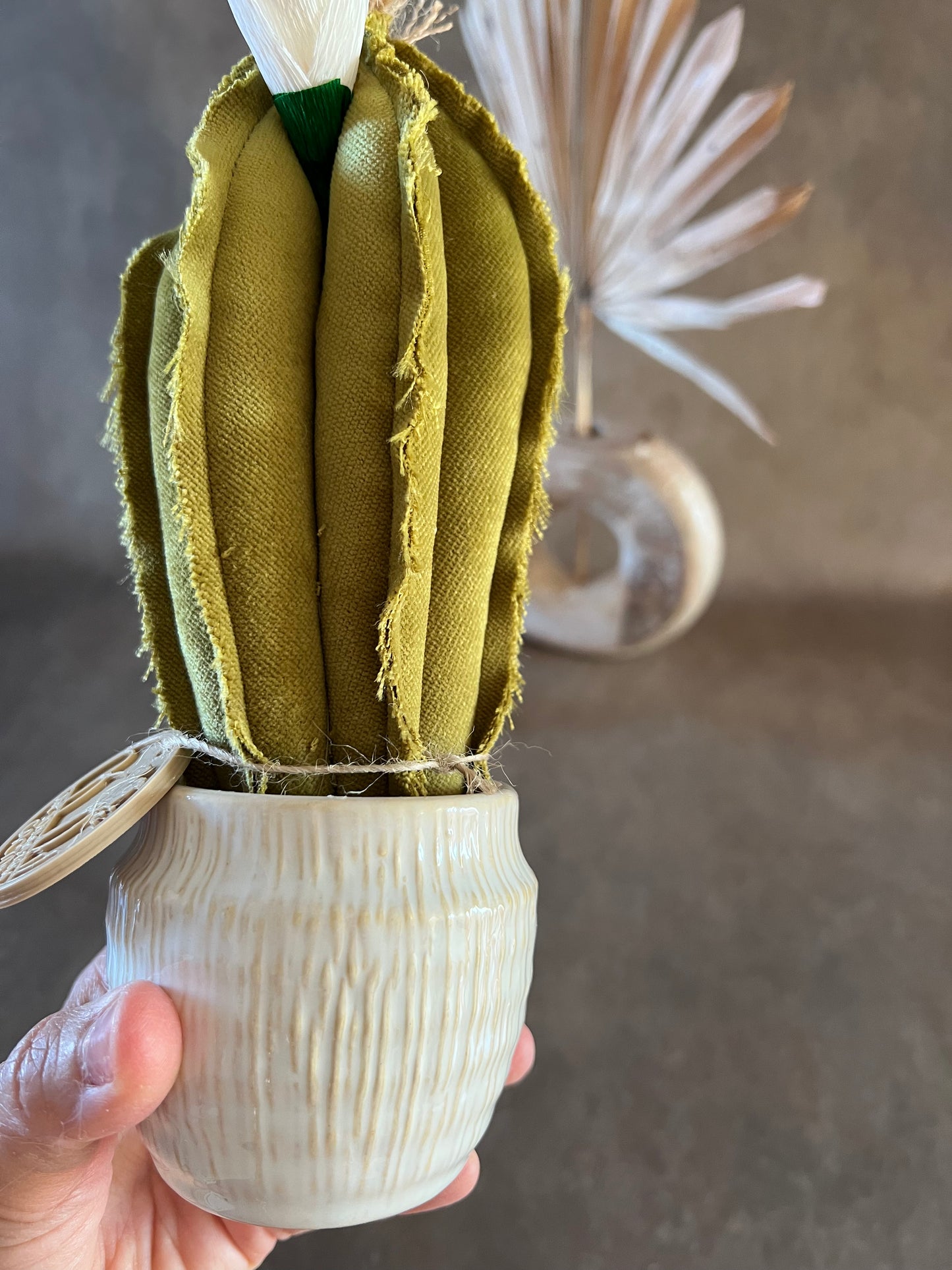 Mini Cactus in velluto verde, vaso in ceramica bianca con striature beige  -  h circa 22 cm - fiore staccabile.