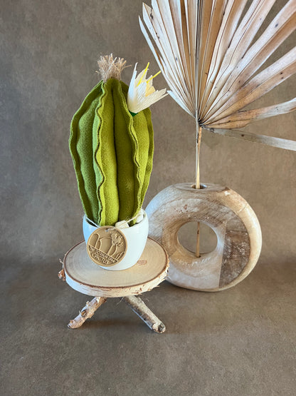 Mini Cactus in panno verde, vaso in ceramica bianco liscio -  h circa  22  cm - fiore staccabile.