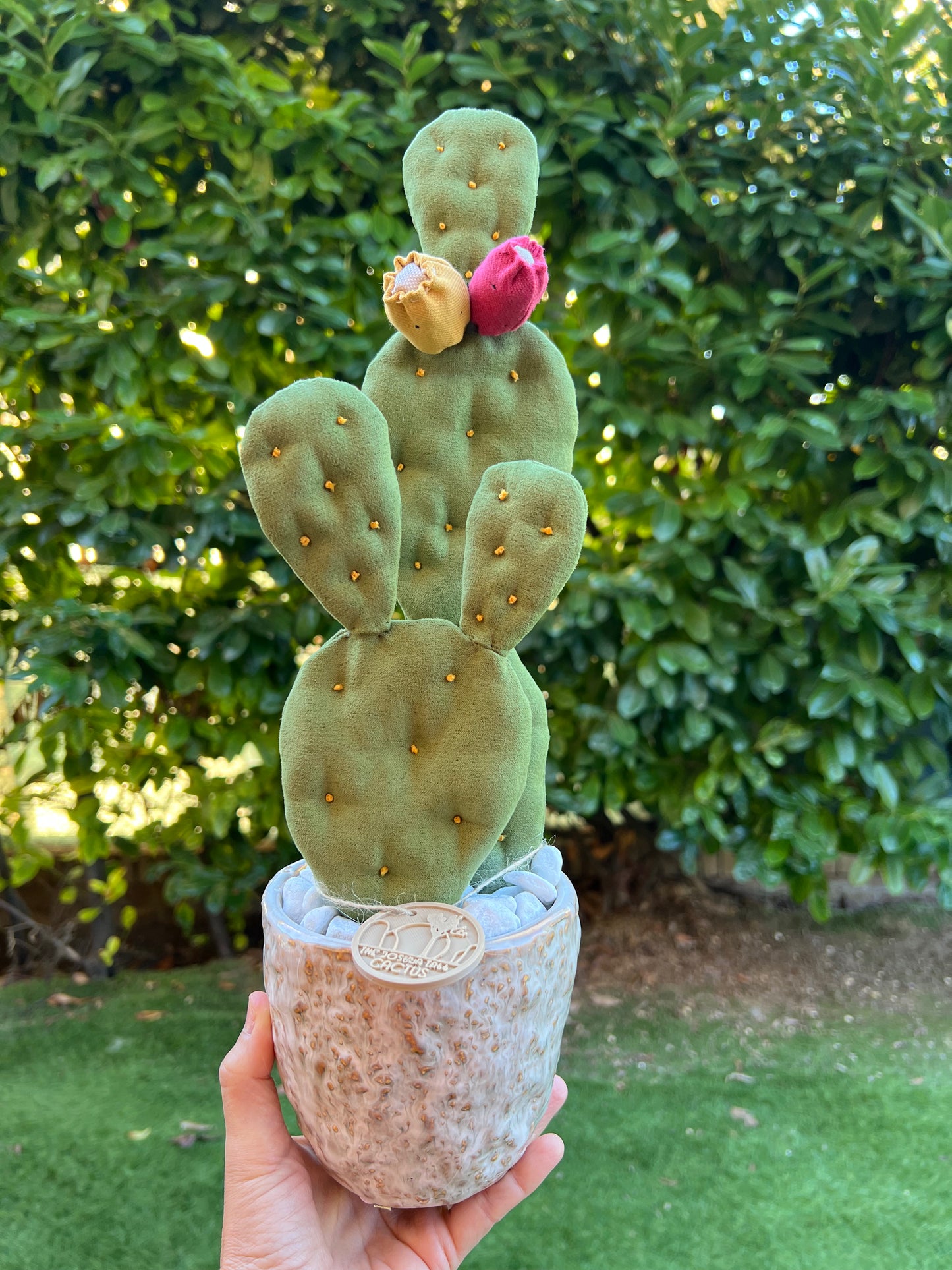 Opuntia Midi in alcantara verde, vaso in ceramica lucida beige con motivi - punti gialli - in pronta consegna
