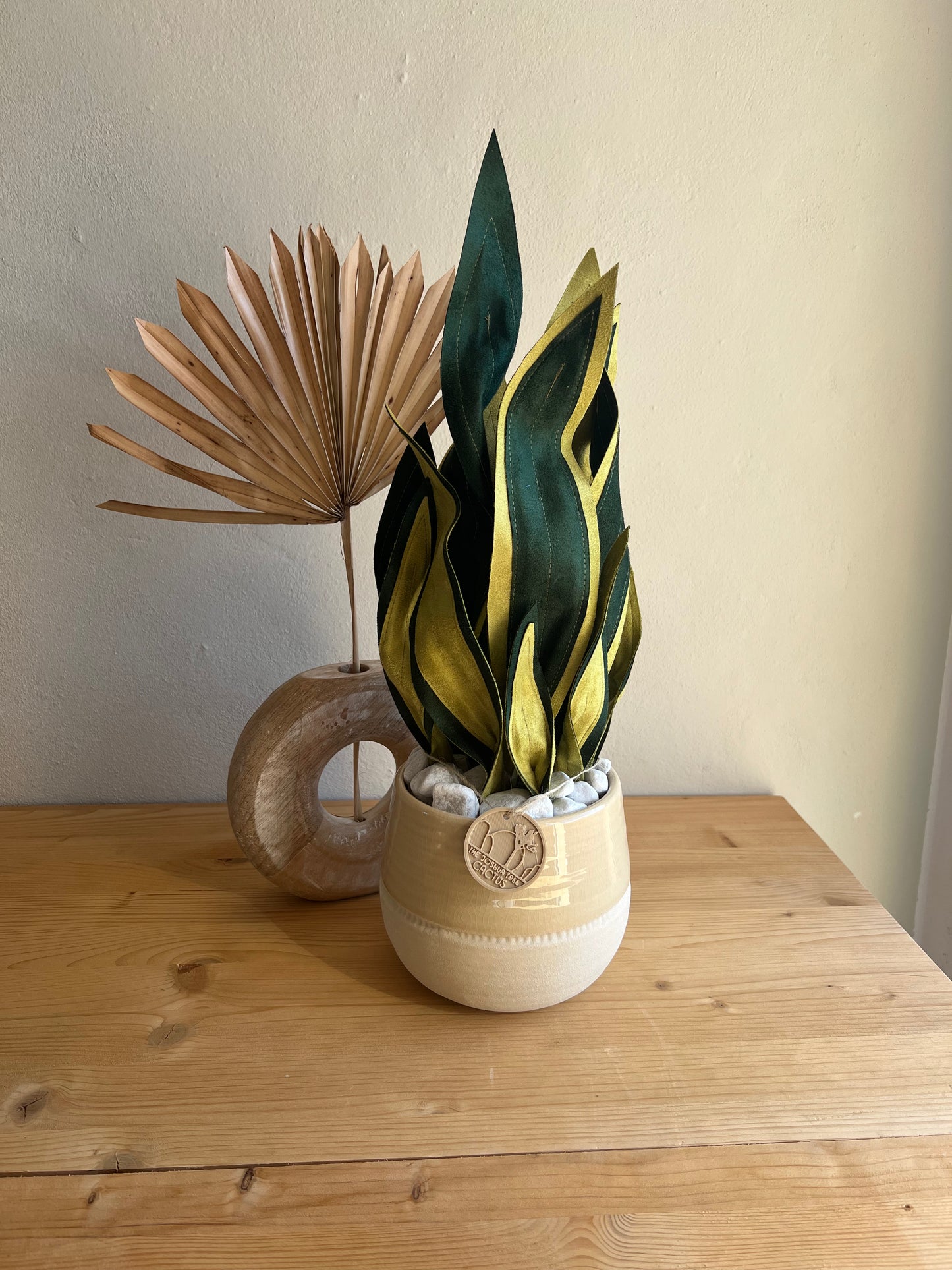 Sanseveria vaso beige