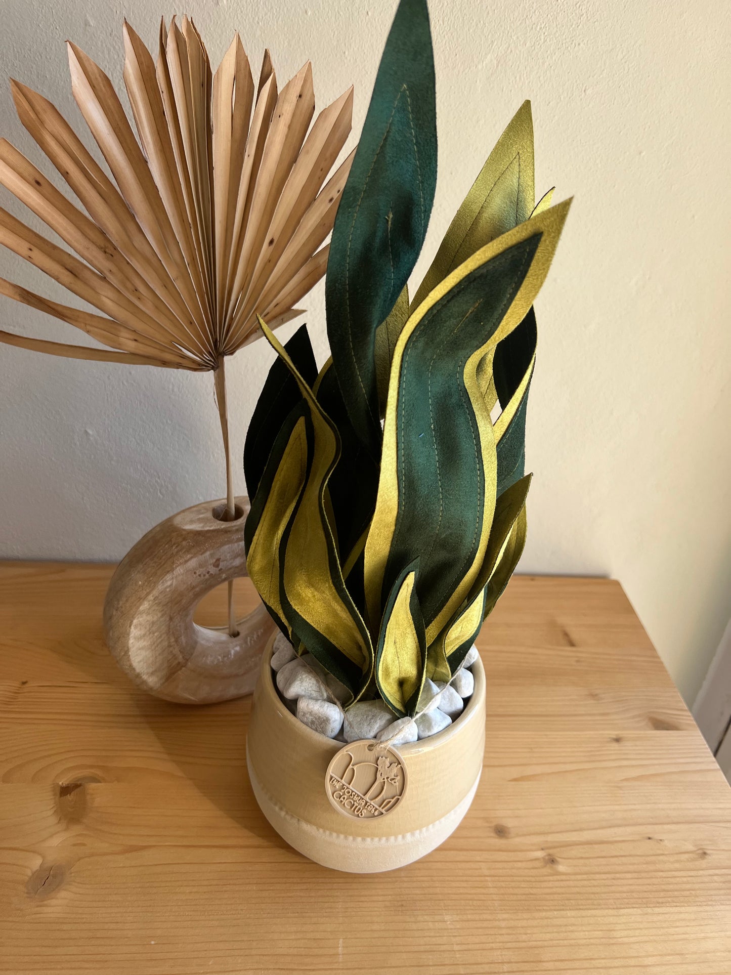 Sanseveria vaso beige