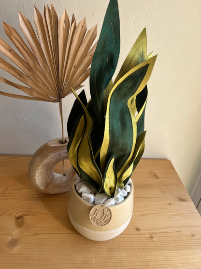 Sanseveria vaso beige