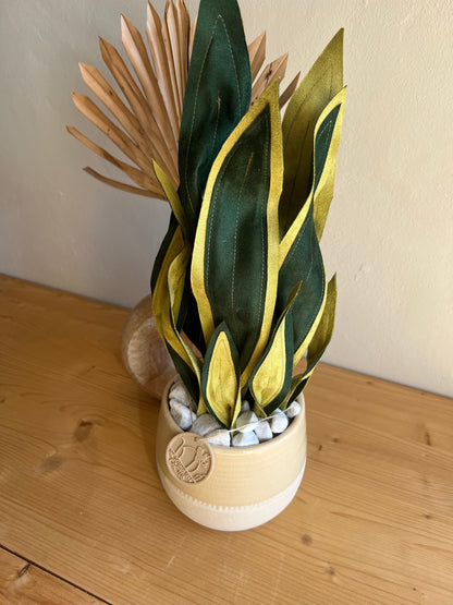 Sanseveria vaso beige