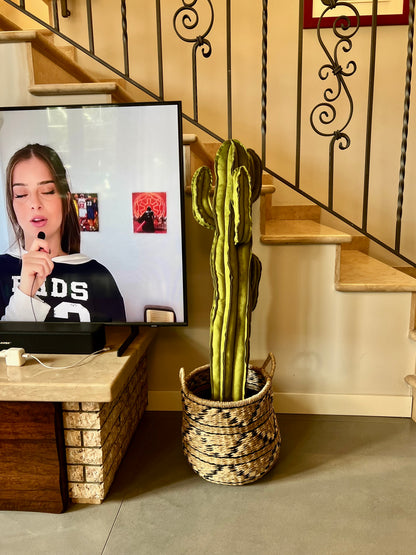 Big cactus in velluto verde brillante altezza 97 cm -ESAURITO