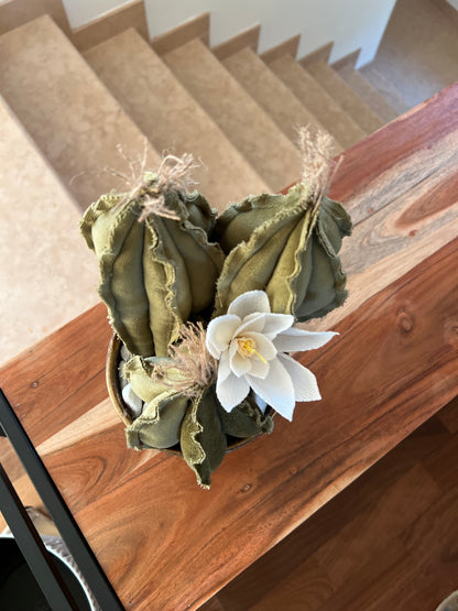 Composizione di 3 Cactus in velluto verde menta, completa di vaso in ceramica bronzo/grigio