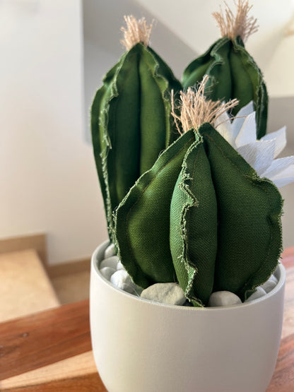 Opuntia in light green cotton with fruits, height 56 ​​cm, complete with ceramic vase