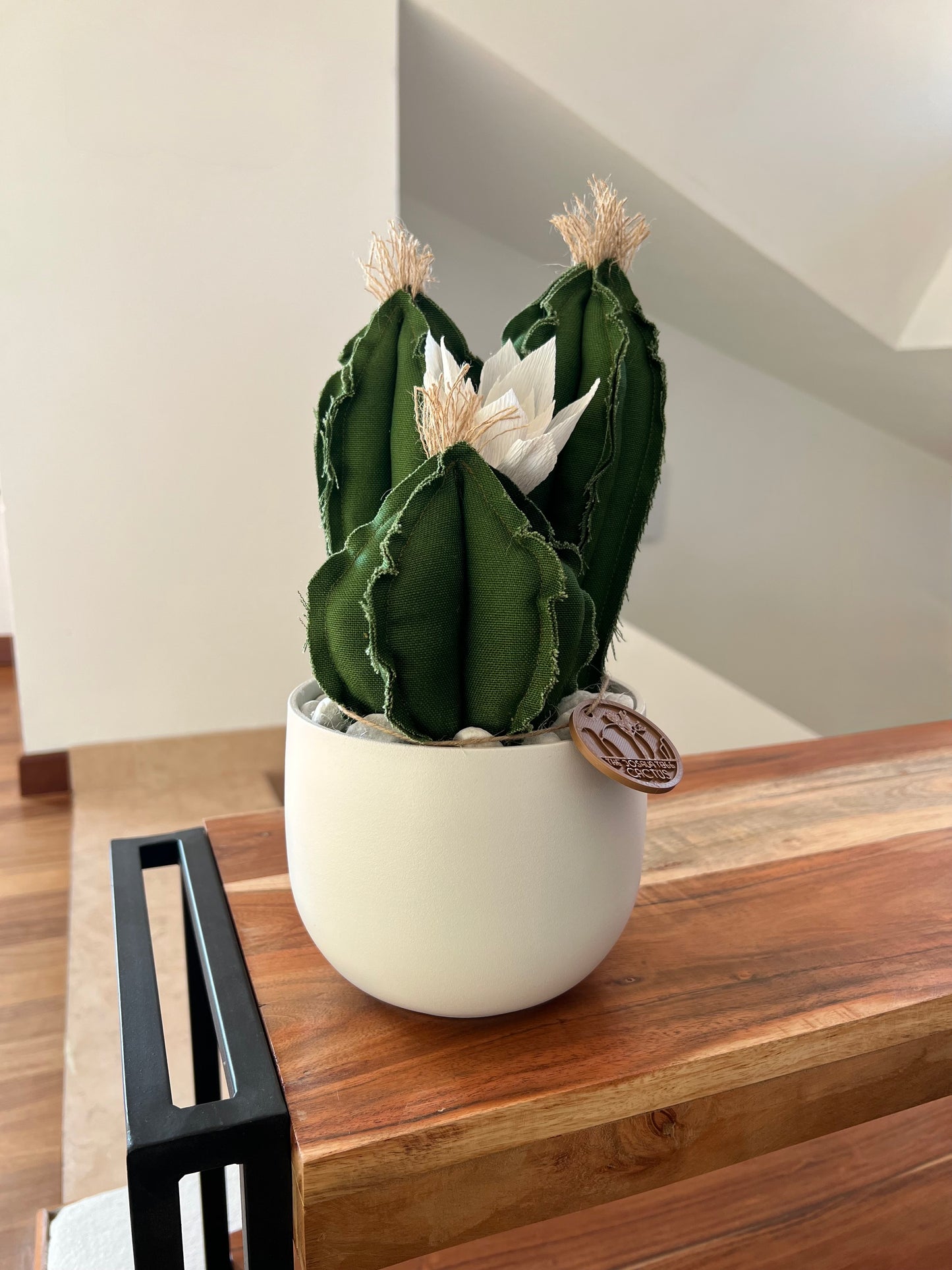 Opuntia in light green cotton with fruits, height 56 ​​cm, complete with ceramic vase