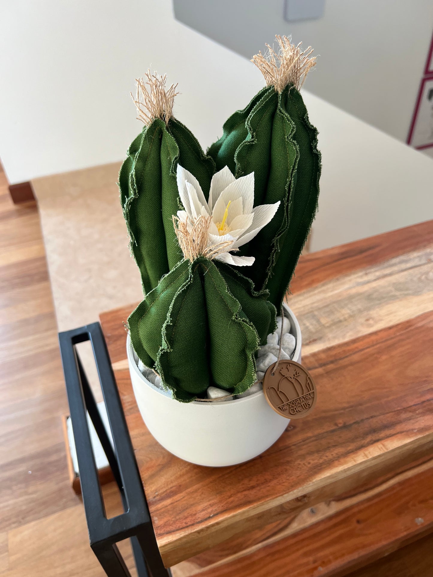 Opuntia in light green cotton with fruits, height 56 ​​cm, complete with ceramic vase