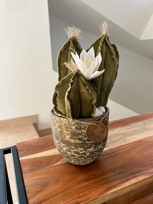 Composizione di 3 Cactus in velluto verde menta, completa di vaso in ceramica bronzo/grigio