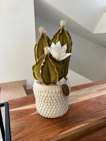Opuntia in light green cotton with fruits, height 56 ​​cm, complete with ceramic vase