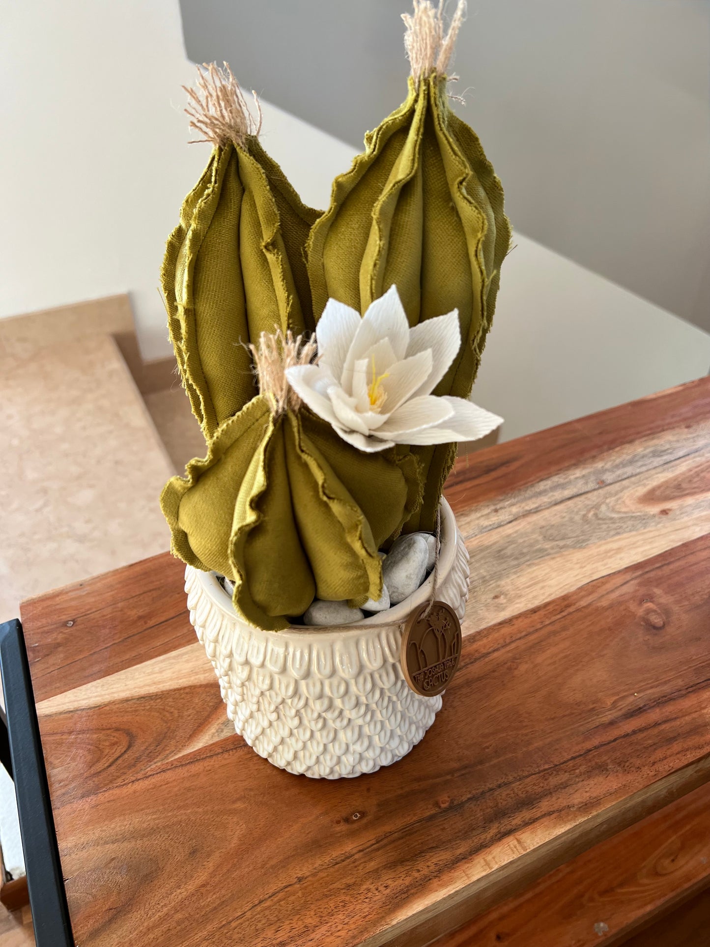 Opuntia in light green cotton with fruits, height 56 ​​cm, complete with ceramic vase