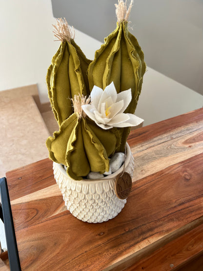 Opuntia in light green cotton with fruits, height 56 ​​cm, complete with ceramic vase