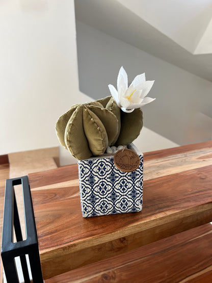 Opuntia in light green cotton with fruits, height 56 ​​cm, complete with ceramic vase