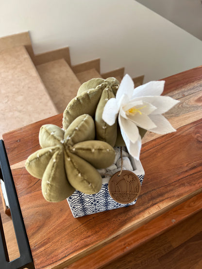 Opuntia in light green cotton with fruits, height 56 ​​cm, complete with ceramic vase