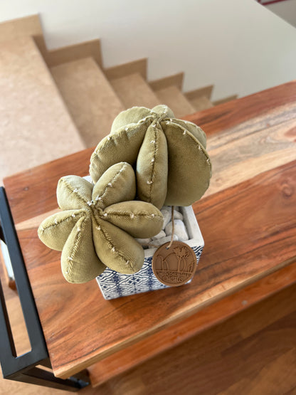 Opuntia in light green cotton with fruits, height 56 ​​cm, complete with ceramic vase