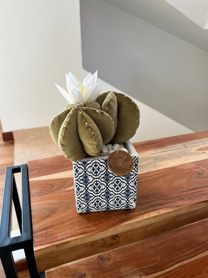 Opuntia in light green cotton with fruits, height 56 ​​cm, complete with ceramic vase