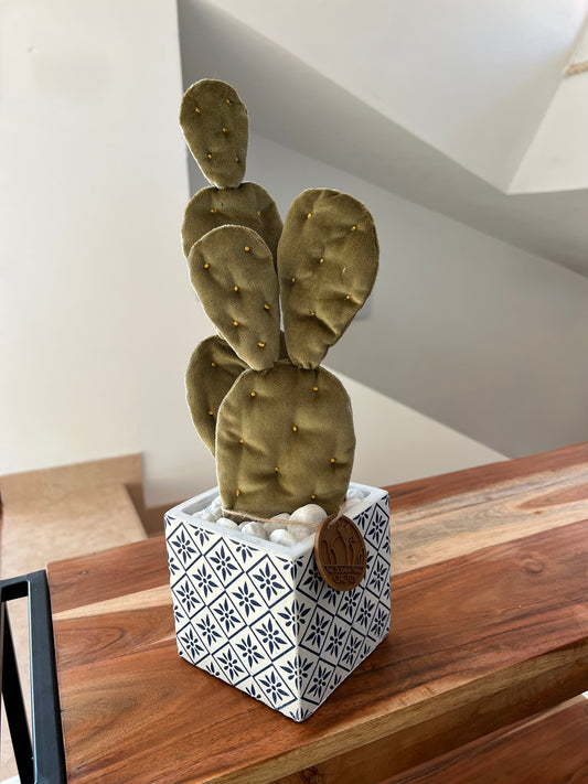 Composizione di Opuntia  in velluto verde menta, completa di vaso in ceramica a cubo disegno stile maiolica PEZZO UNICO