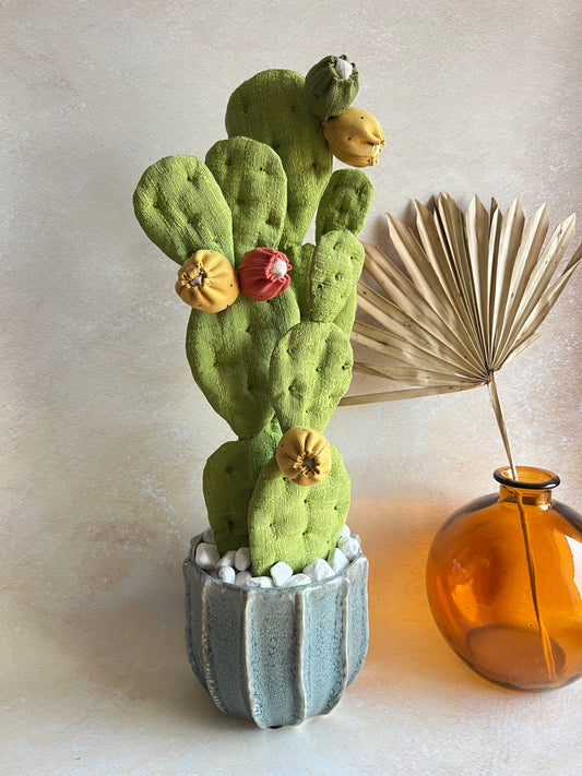 Opuntia in cotone verde chiaro vaso azzurro