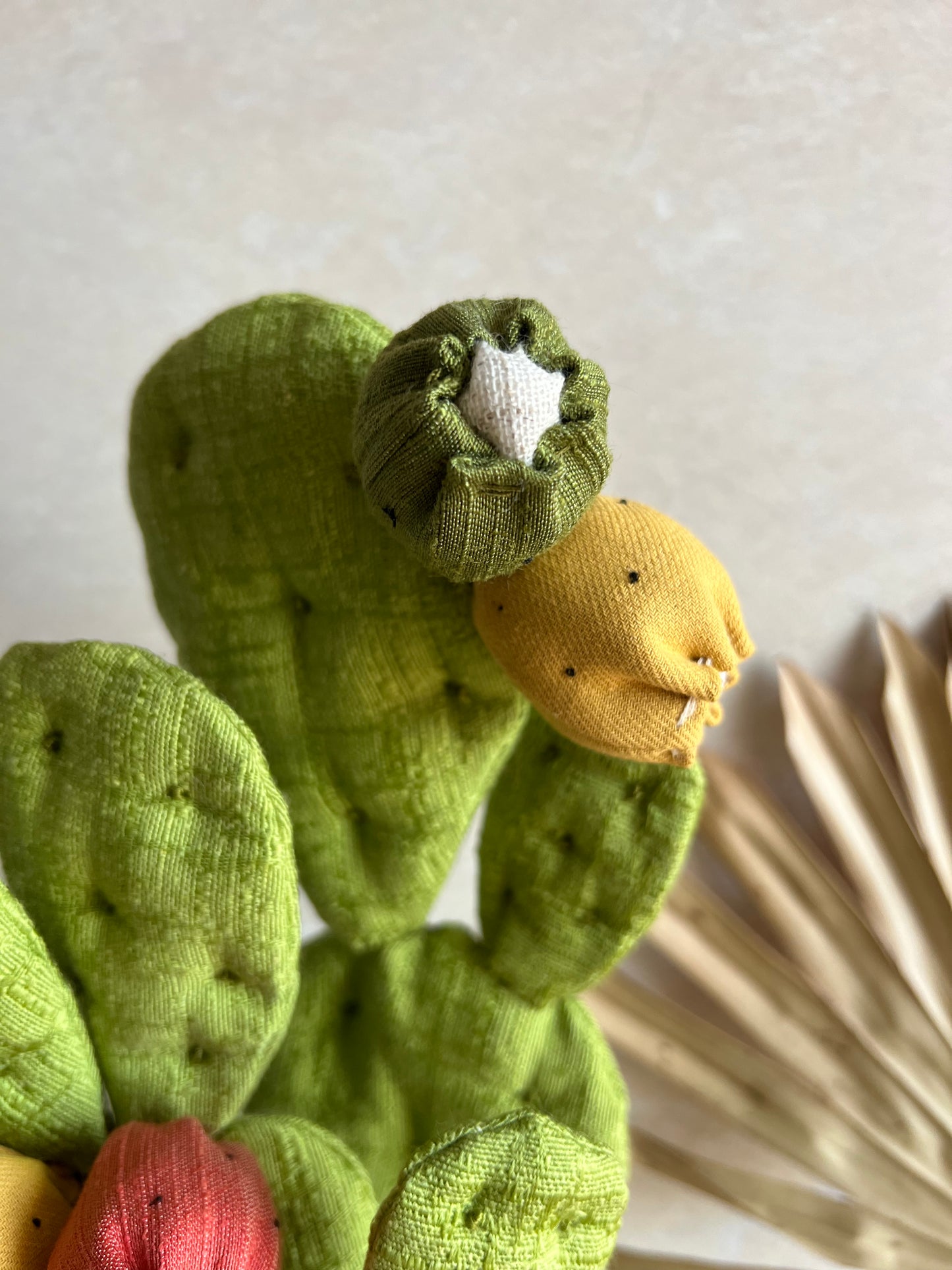 Opuntia in cotone verde chiaro vaso azzurro