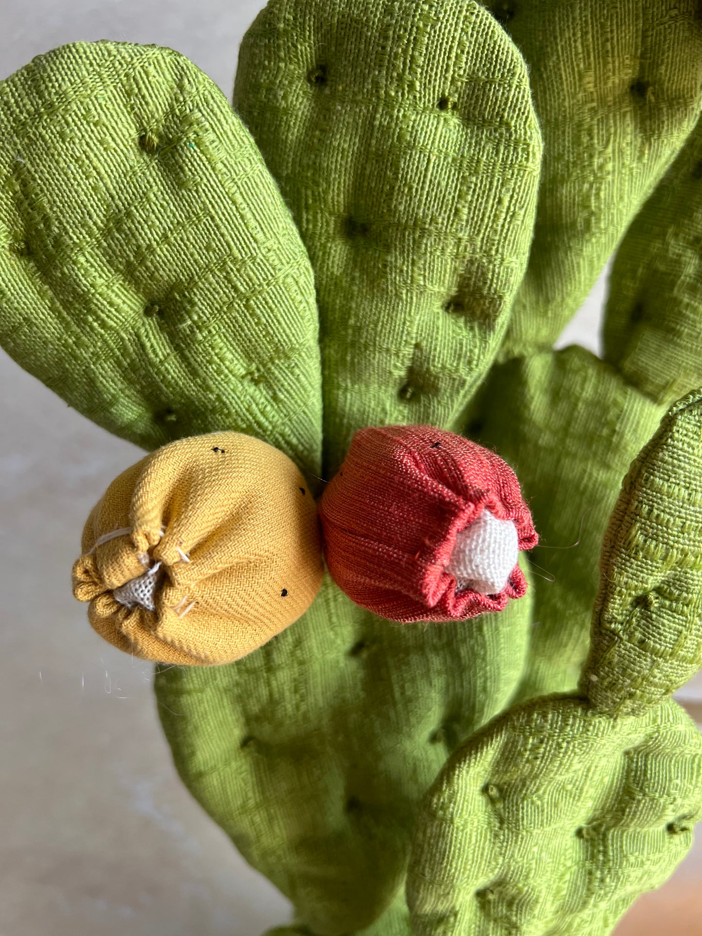 Opuntia in cotone verde chiaro vaso azzurro