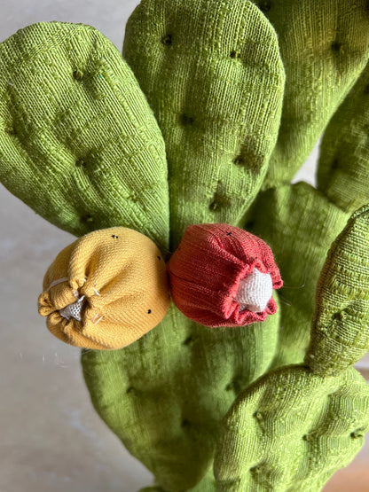 Opuntia in cotone verde chiaro vaso azzurro