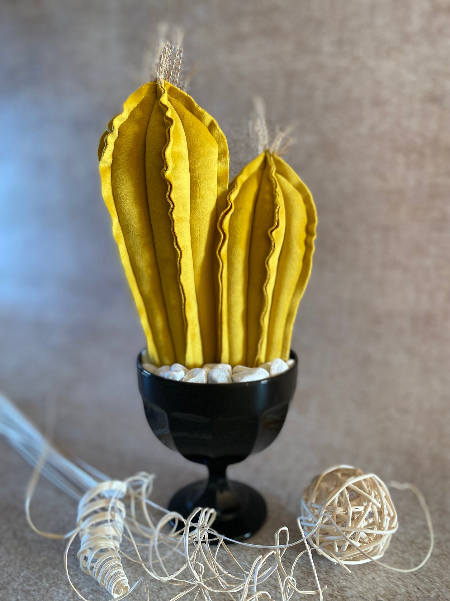 Composition of 2 yellow velvet cacti, height 32 cm