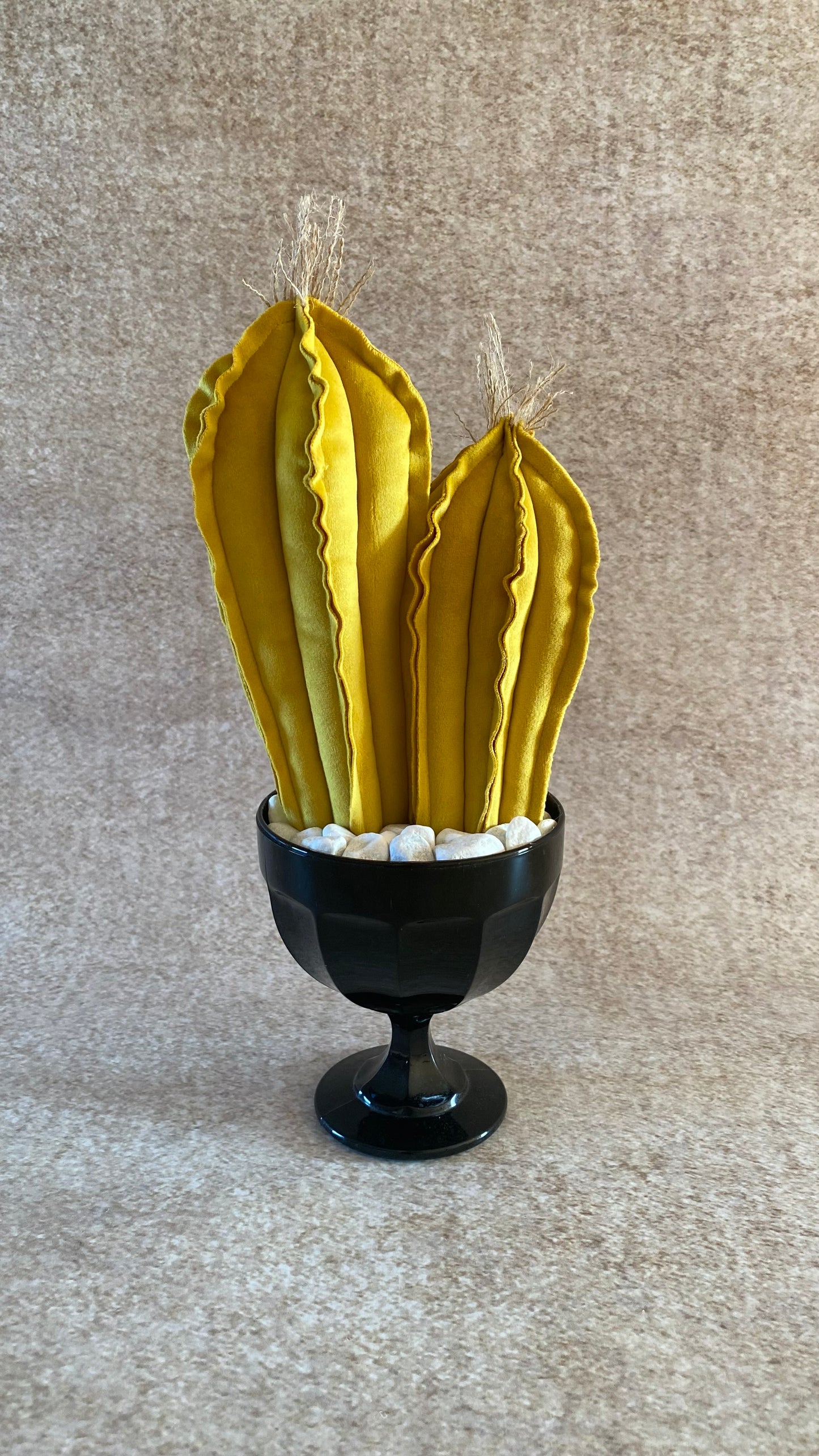 Composition of 2 yellow velvet cacti, height 32 cm