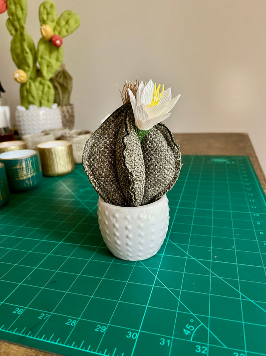 Mini cactus in green cotton, white glossy ceramic pot with dotted pattern, height approx. 17 cm