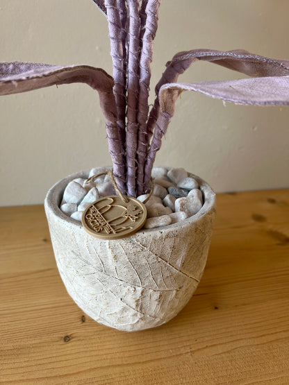 Cereus over composition