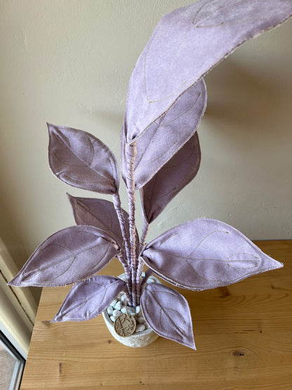 Cereus over composition