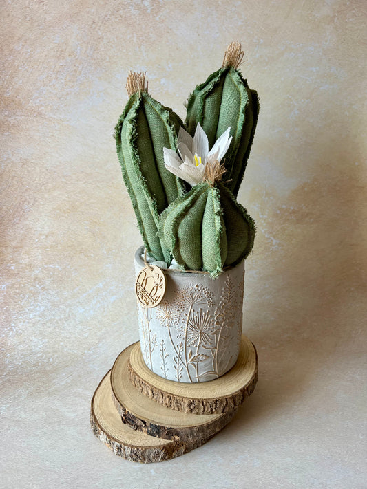 Opuntia in light green cotton with fruits, height 56 ​​cm, complete with ceramic vase