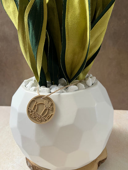 Sanseveria Midi