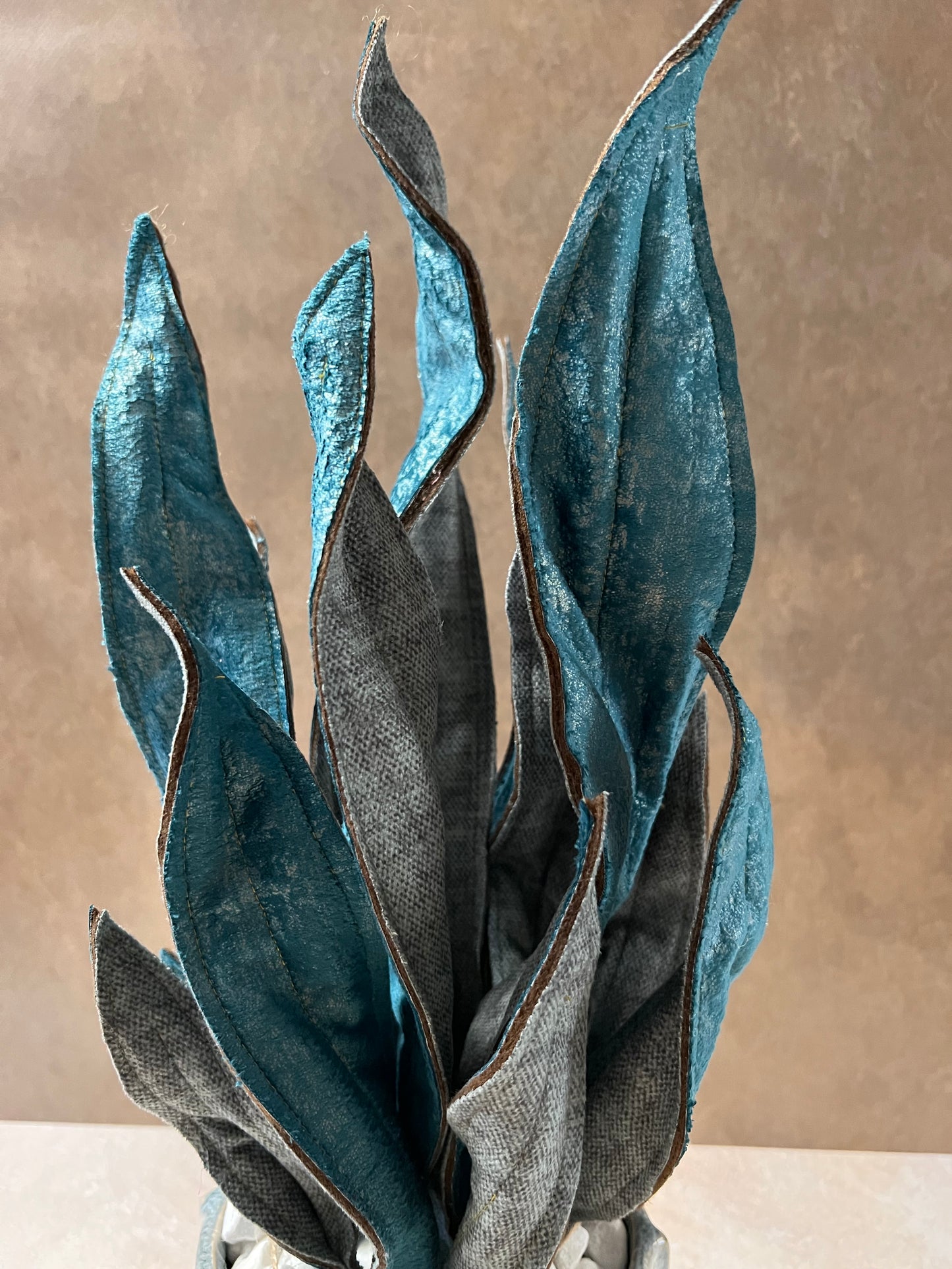 Sanseveria blu riflessi argento