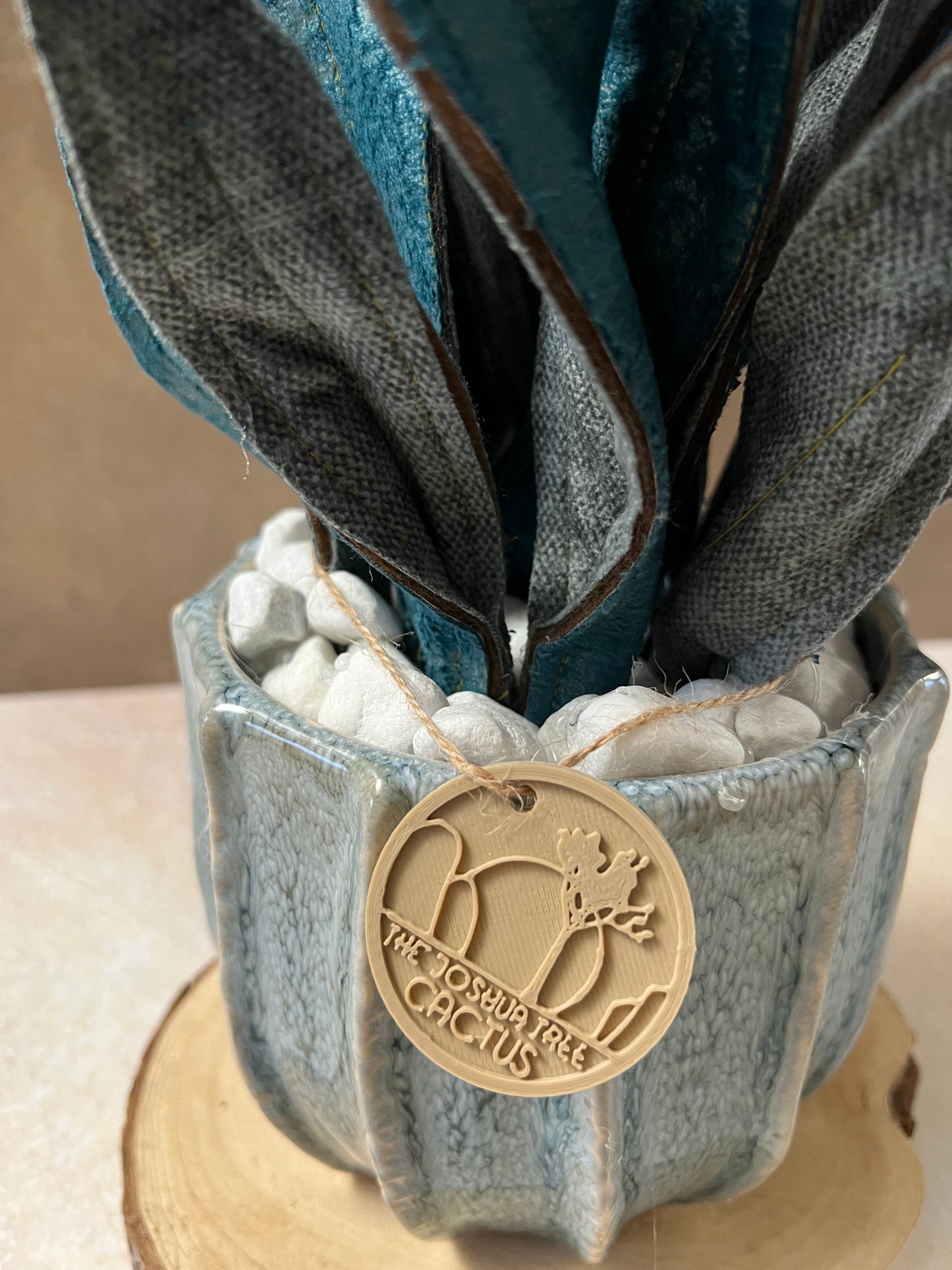 Sanseveria blu riflessi argento