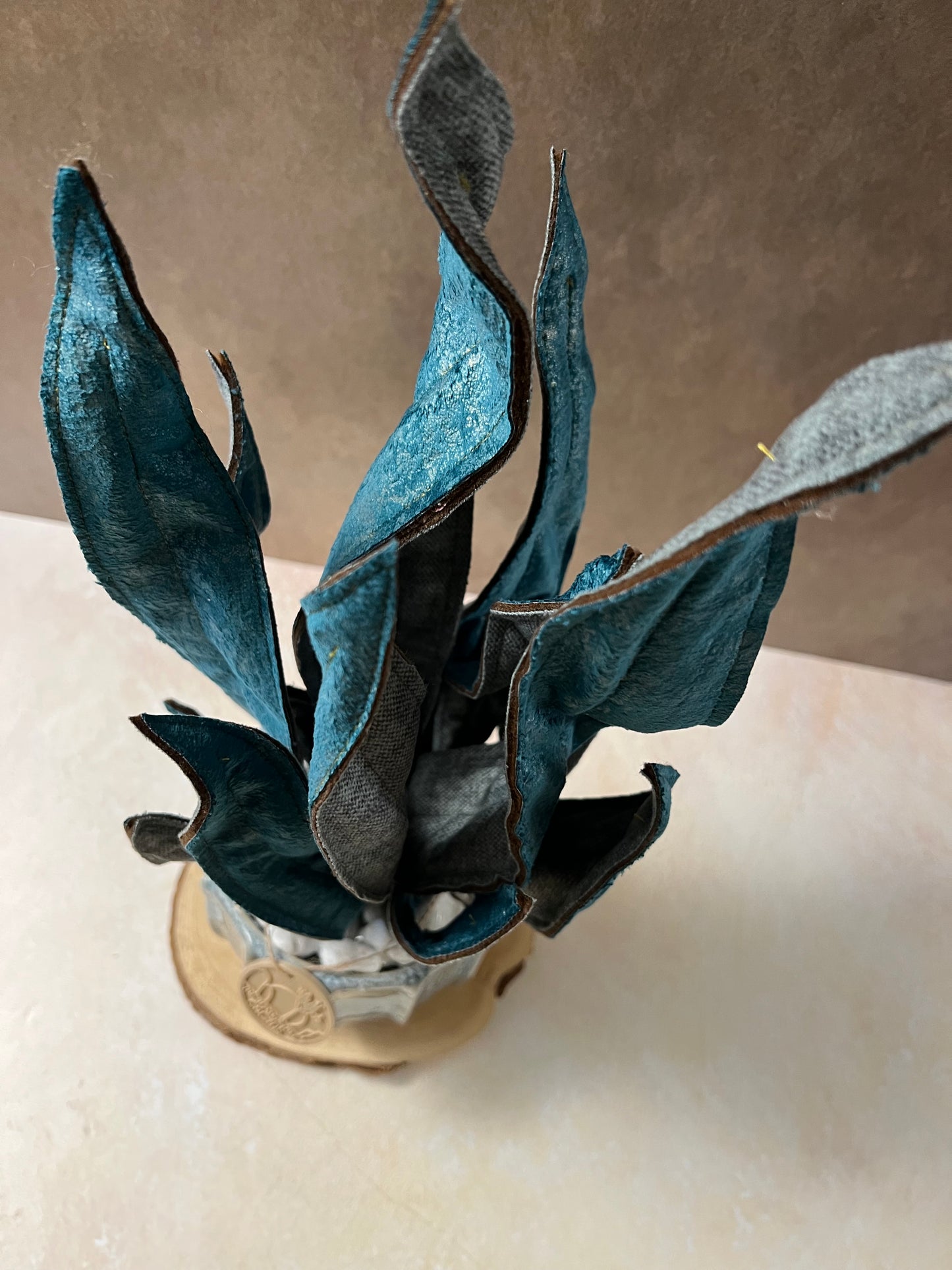 Sanseveria blu riflessi argento