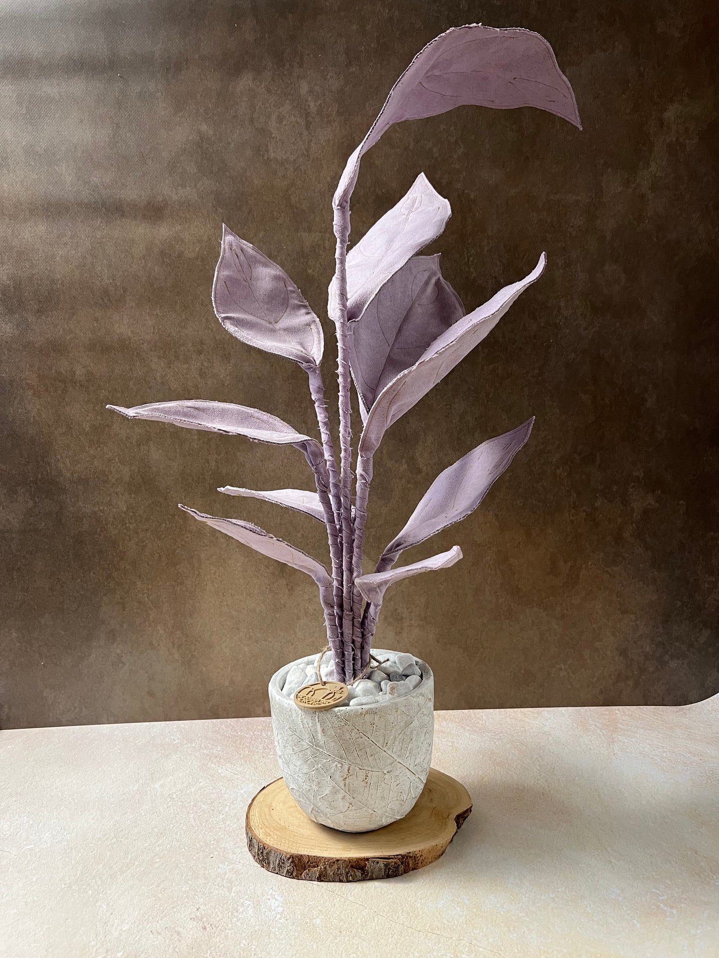 Cereus over composition