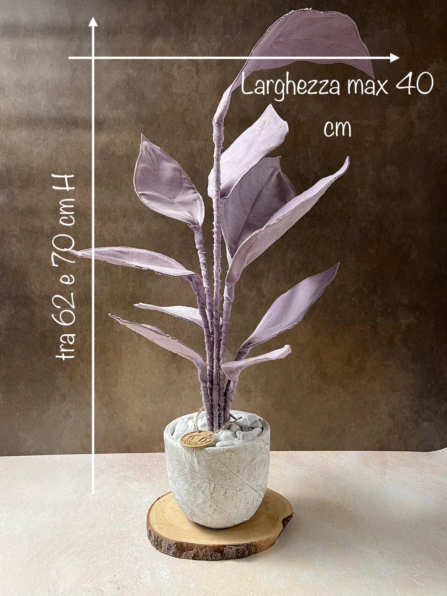 Cereus over composition