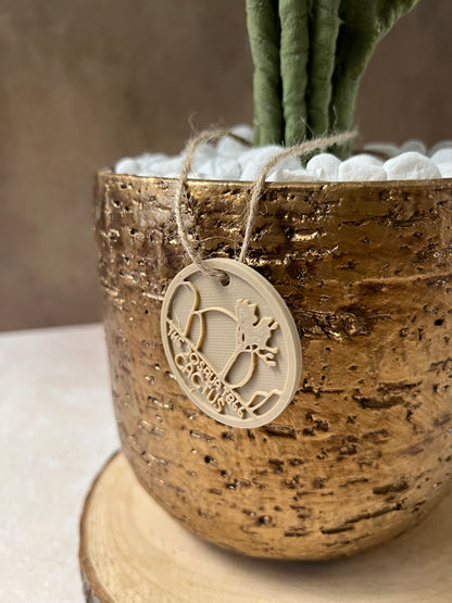 Cereus over composition