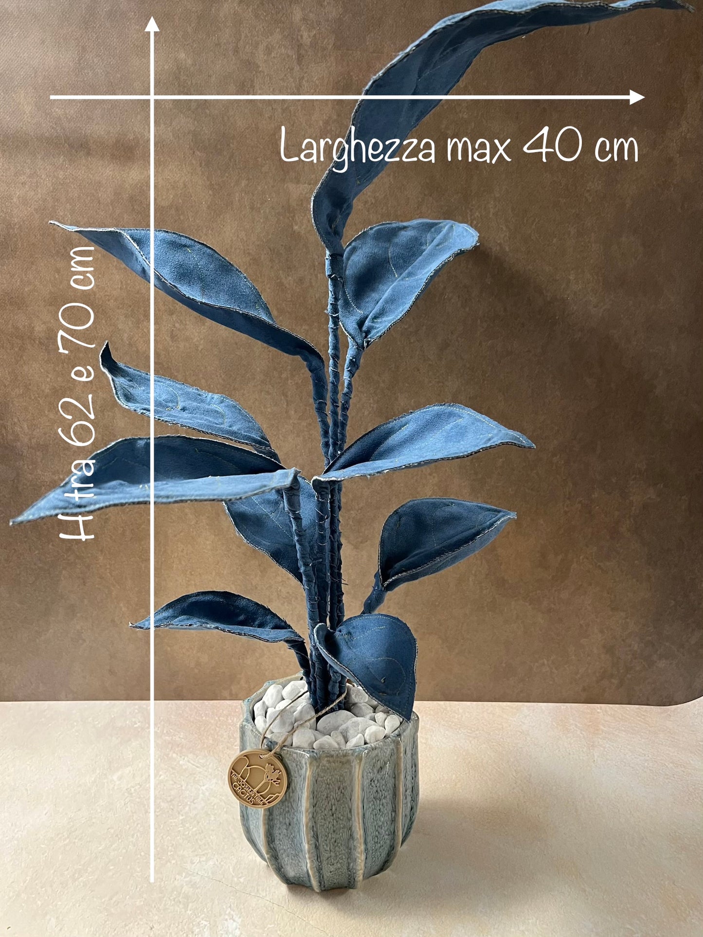 Cereus over composition