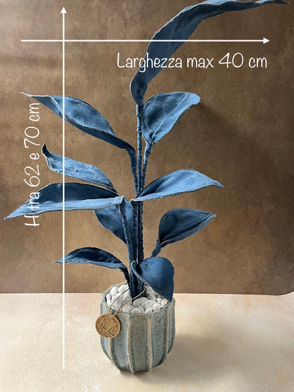 Cereus over composition