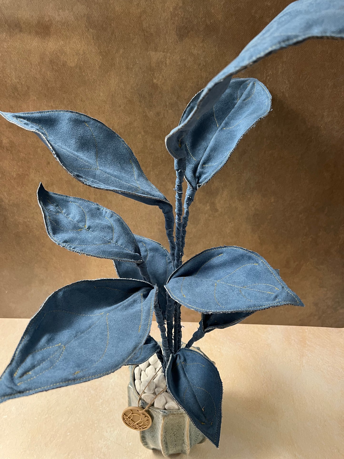 Cereus over composition