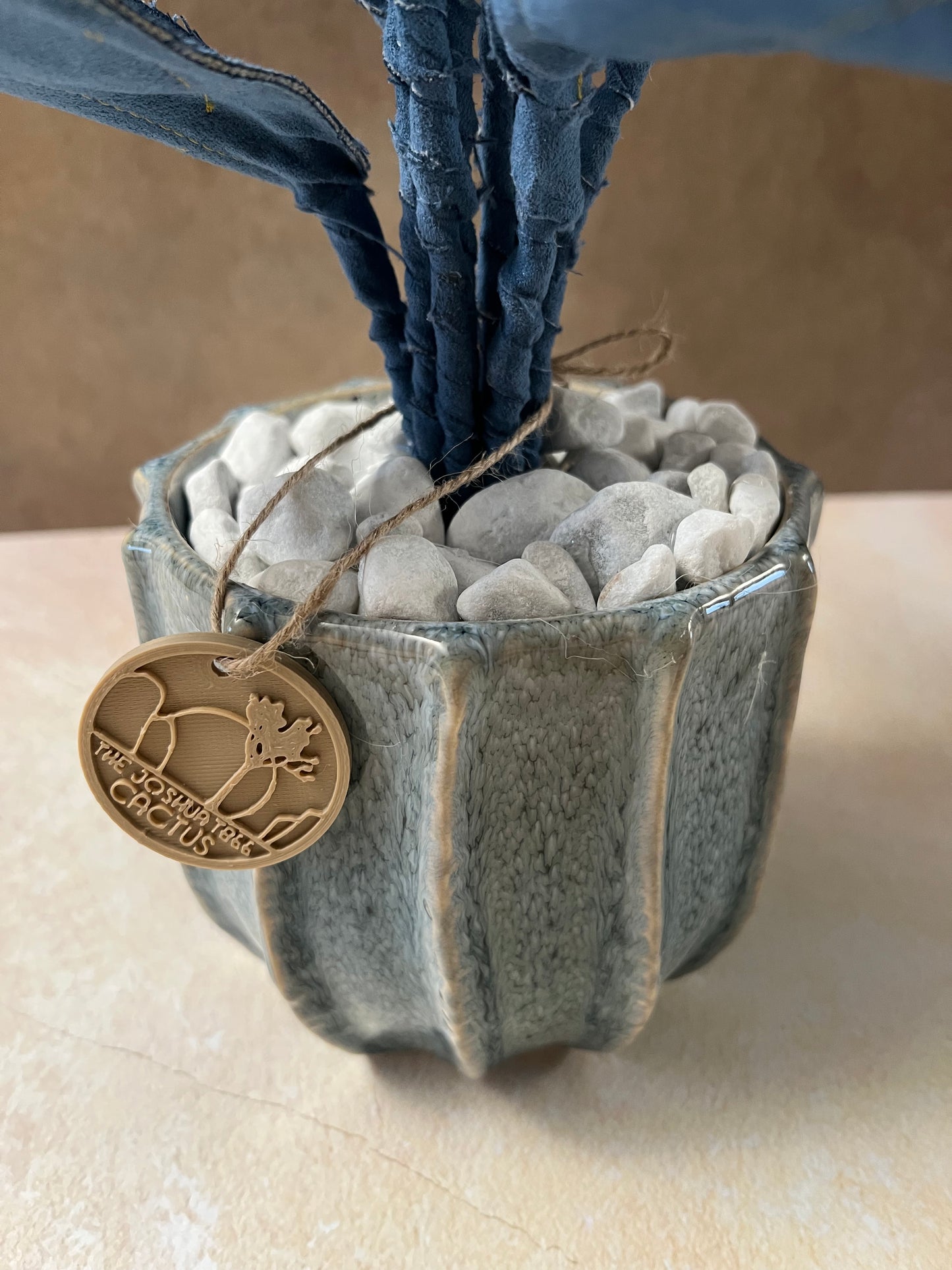 Cereus over composition