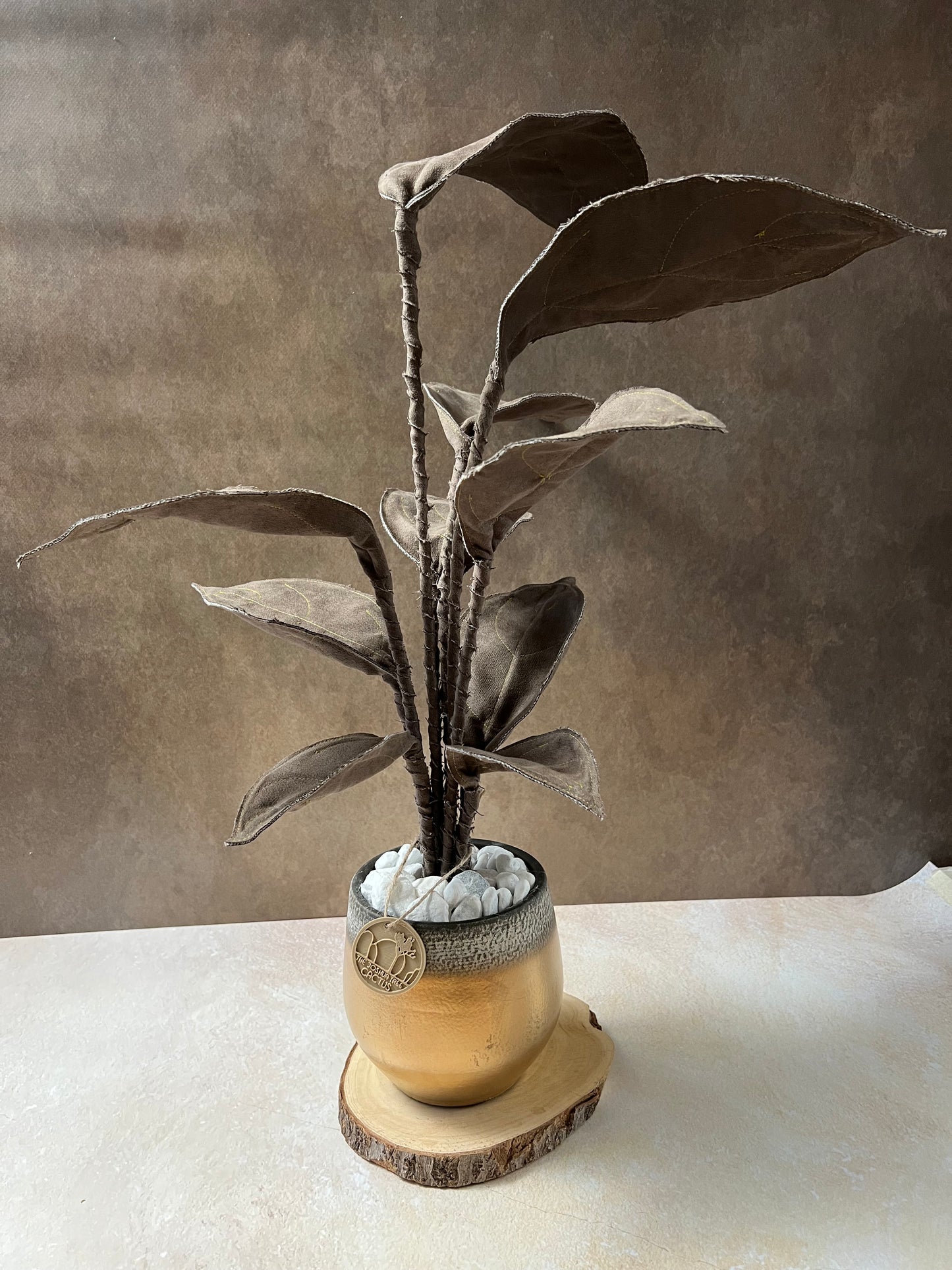 Cereus over composition