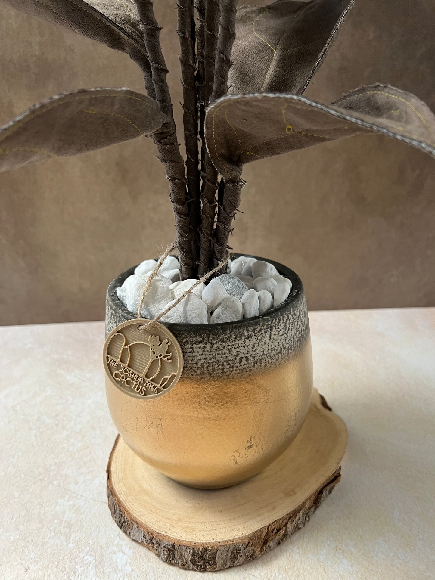 Cereus over composition