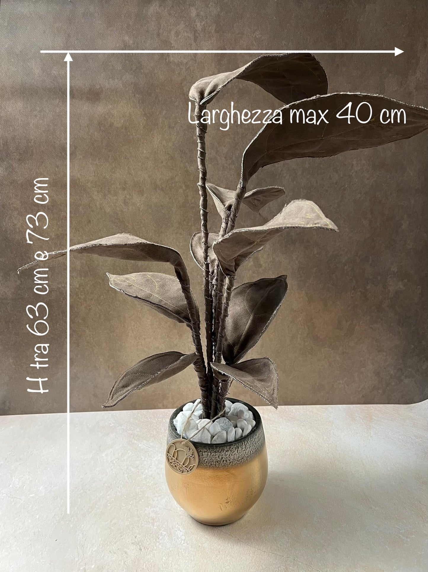 Cereus over composition