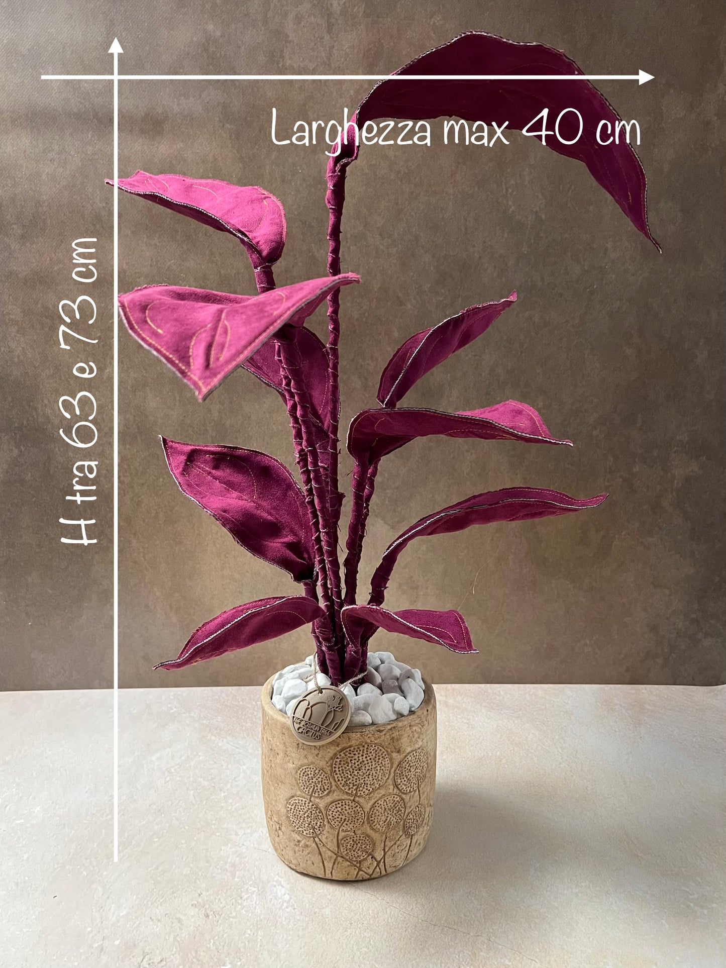 Cereus over composition