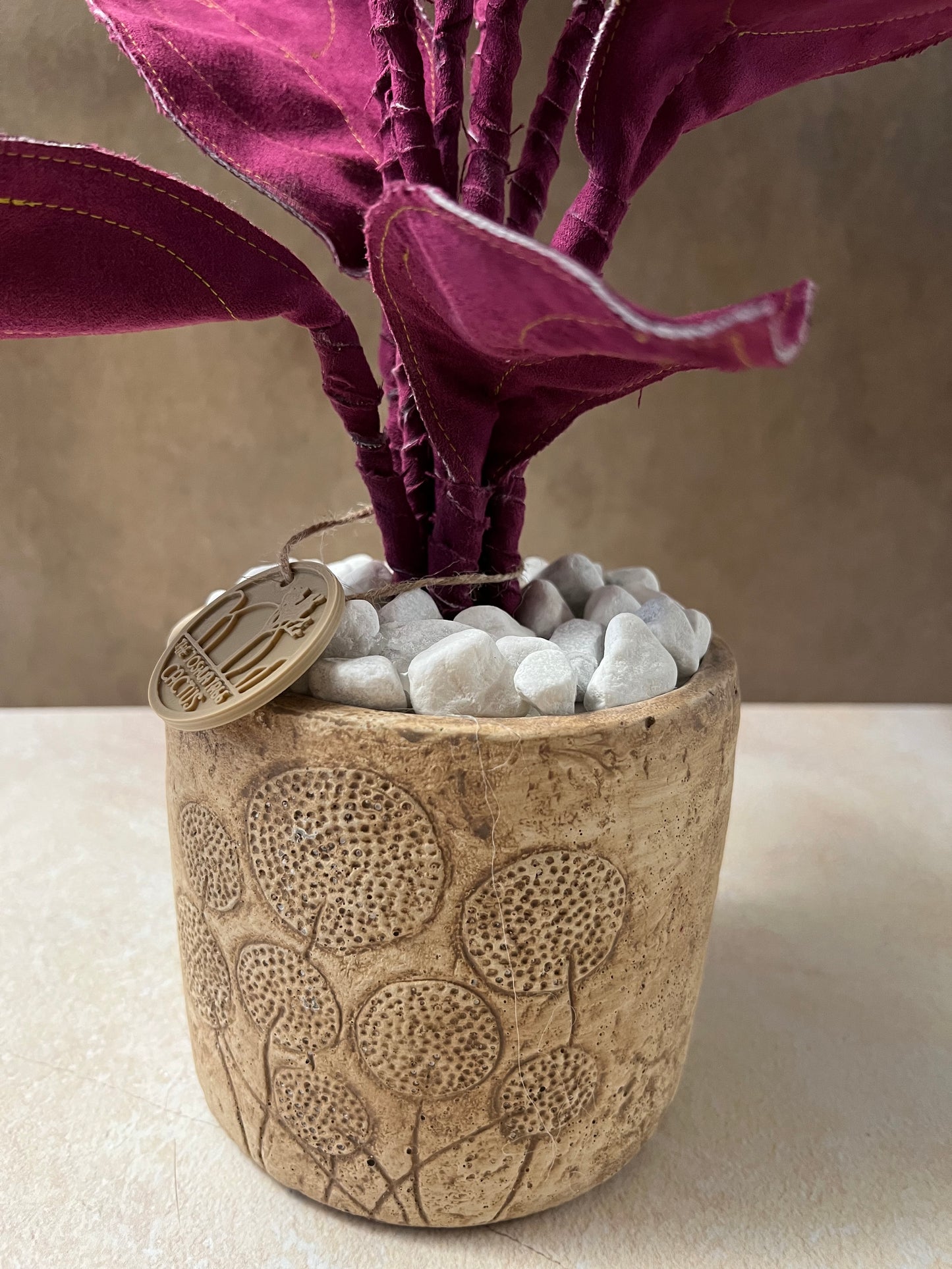 Cereus over composition