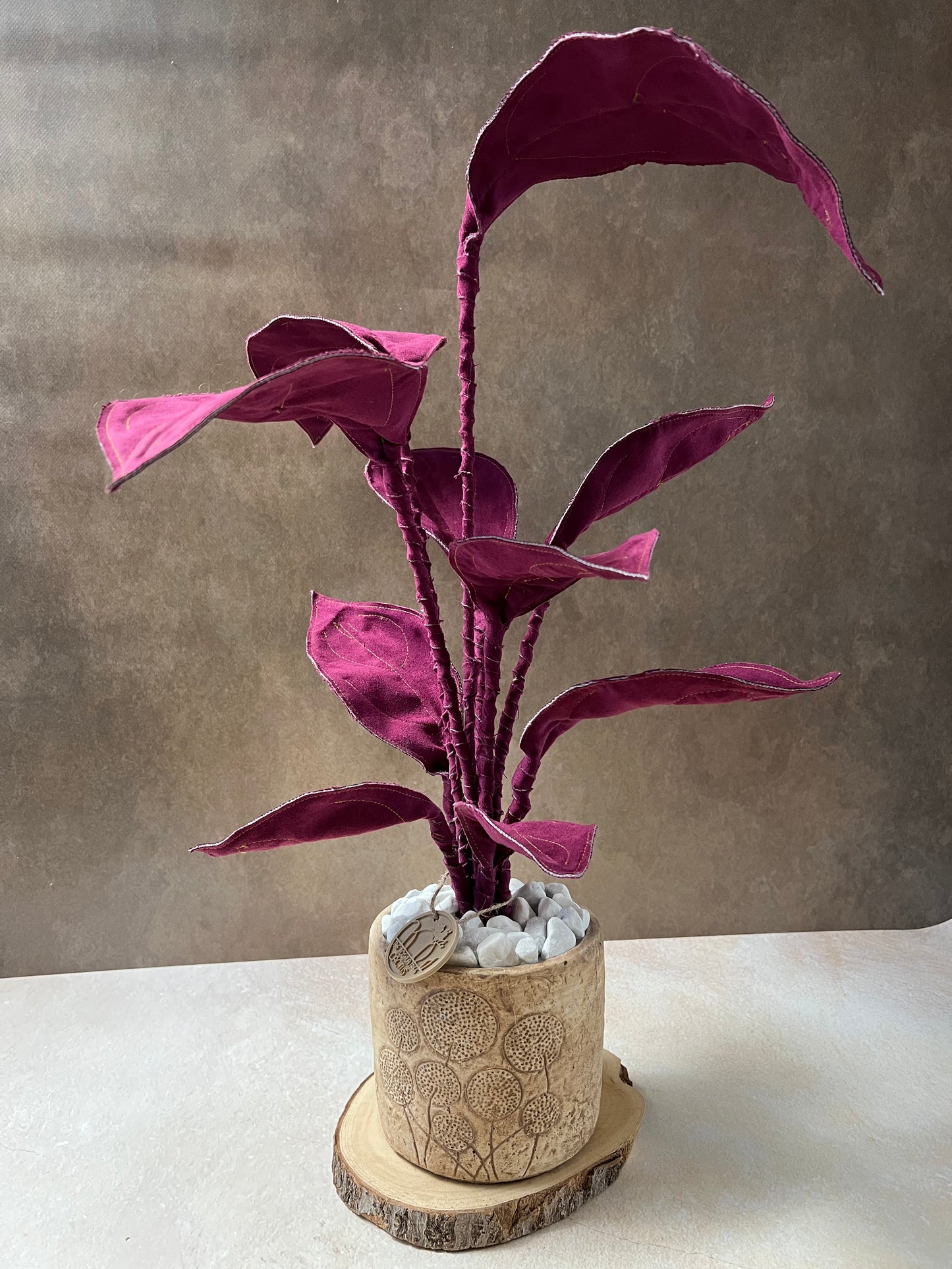 Cereus over composition