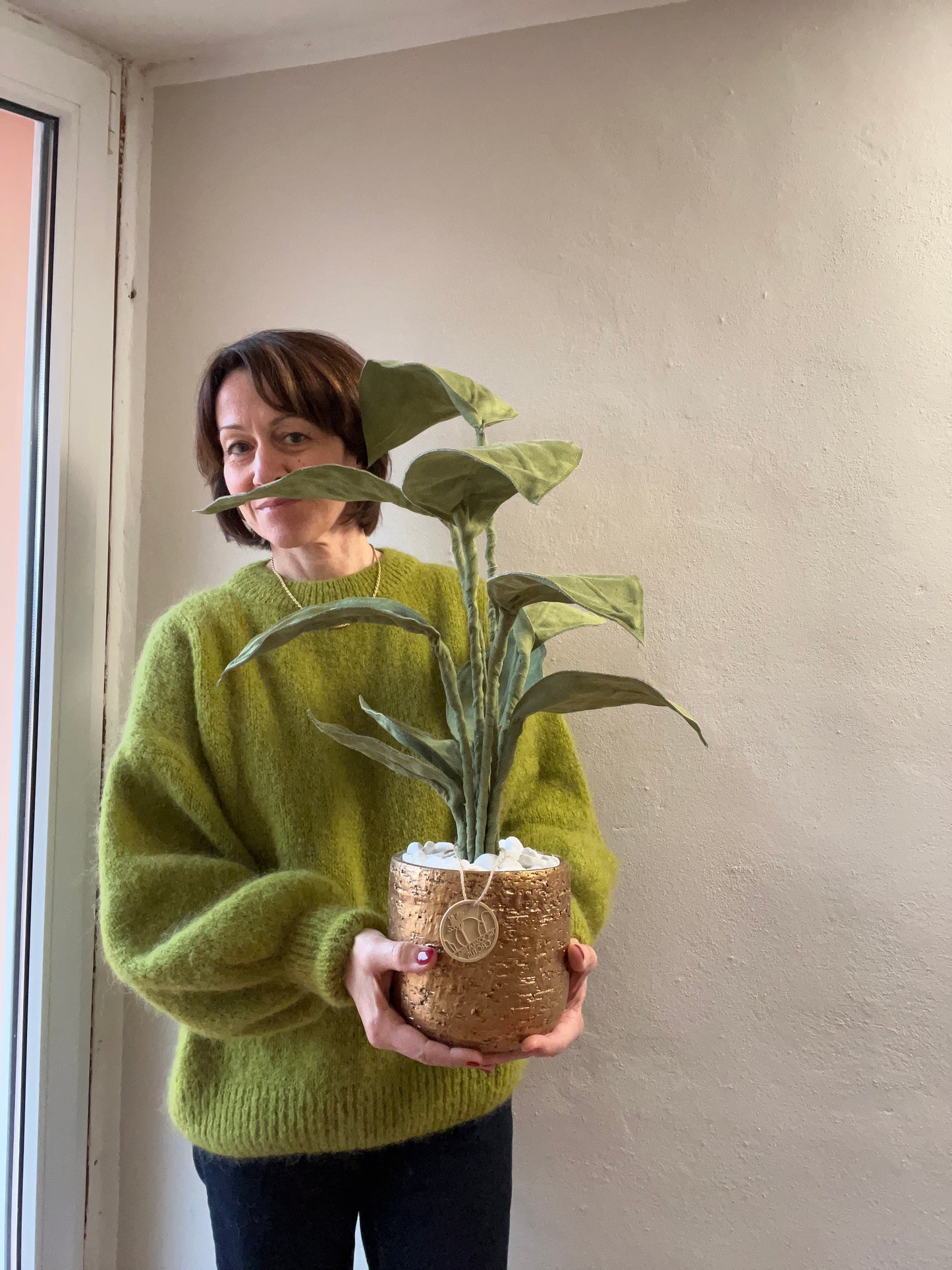 Cereus over composition